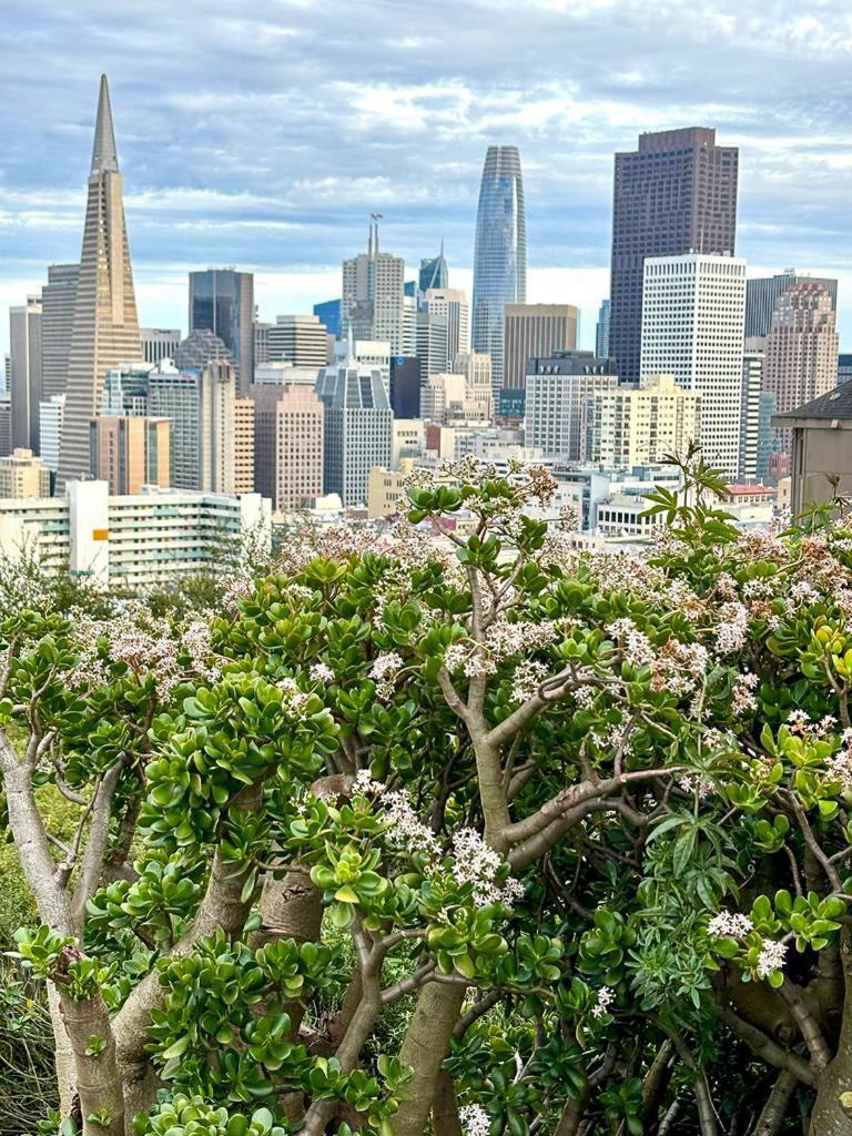 Ith San Francisco Pacific Tradewinds Backpacker Hostel エクステリア 写真